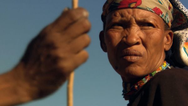 África más salvaje - Namibia: arenas del tiempo