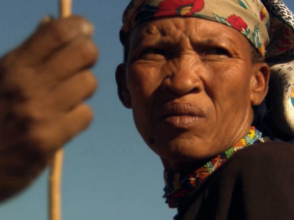 África más salvaje - Namibia: arenas del tiempo