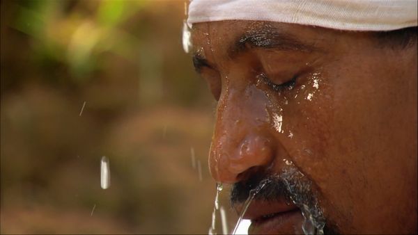 África más salvaje - Nilo: una odisea africana