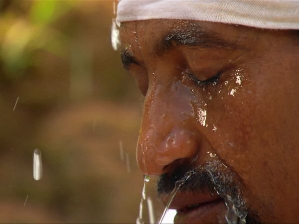 África más salvaje - Nilo: una odisea africana