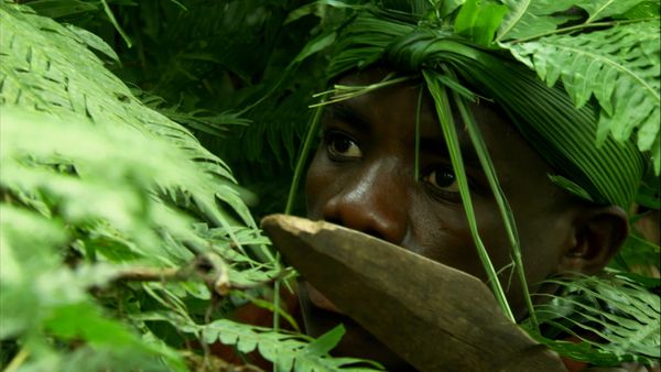 África más salvaje - Virungas: Tierra de Hielo y Fuego