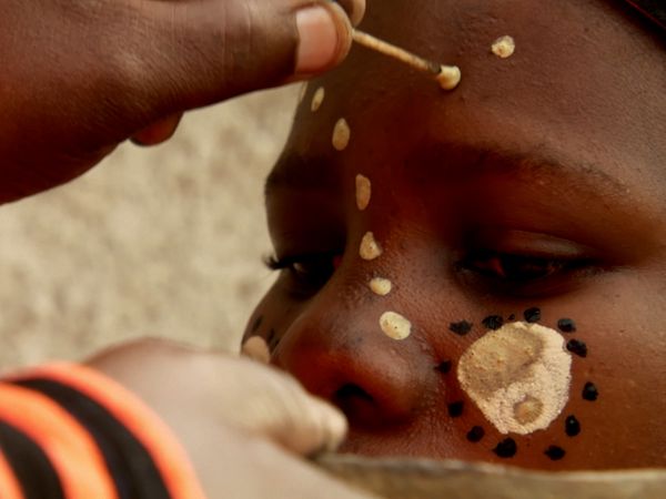 África más salvaje - Costa del Cabo: donde los mundos chocan