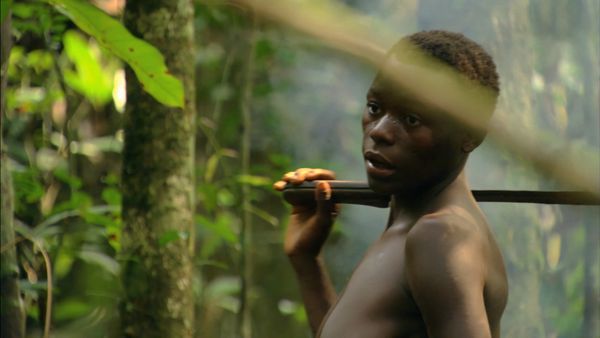 África más salvaje - Congo: el corazón indómito