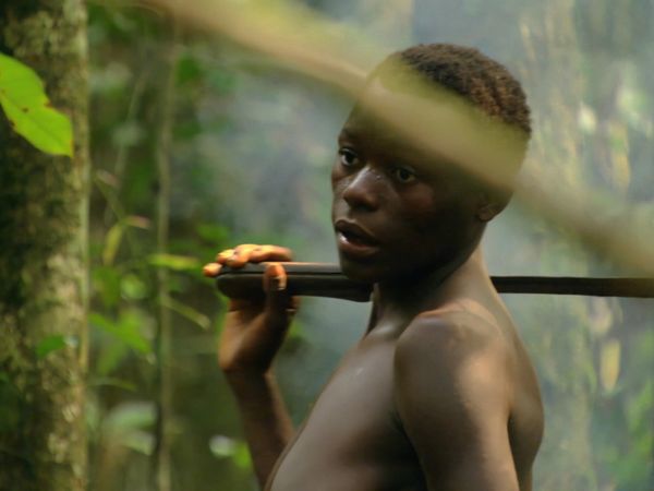 África más salvaje - Congo: el corazón indómito