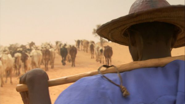 África más salvaje - Sáhara: vida al límite