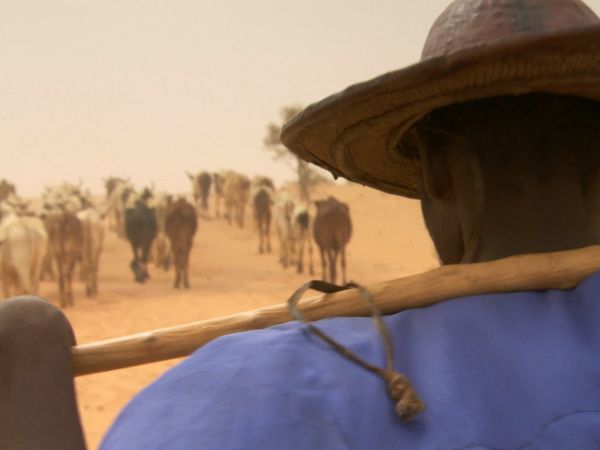 África más salvaje - Sáhara: vida al límite