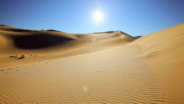 carrera de la vida - La gran carrera del desierto