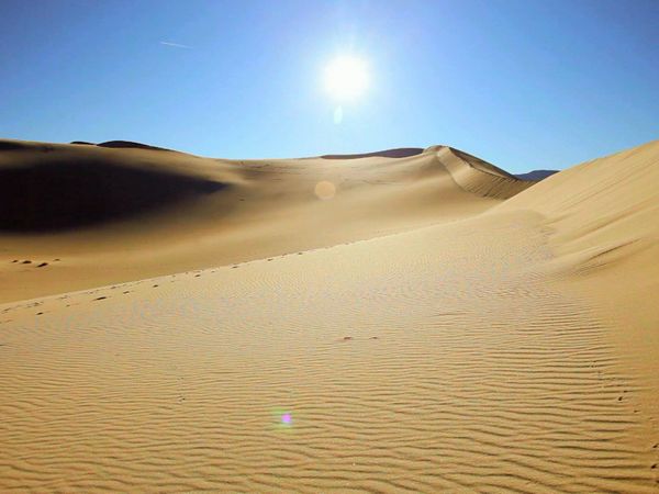 carrera de la vida - La gran carrera del desierto