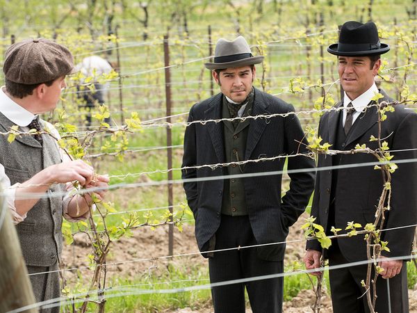 Murdoch Mysteries - Merlot Mysteries