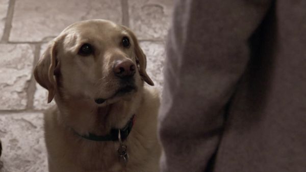 Outnumbered - Episode 3