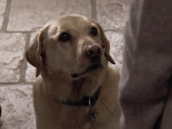 Outnumbered - Episode 3
