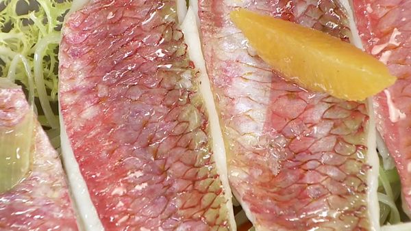 Torres en la Cocina - Canelones de Verdura y Salmonete en Escabeche