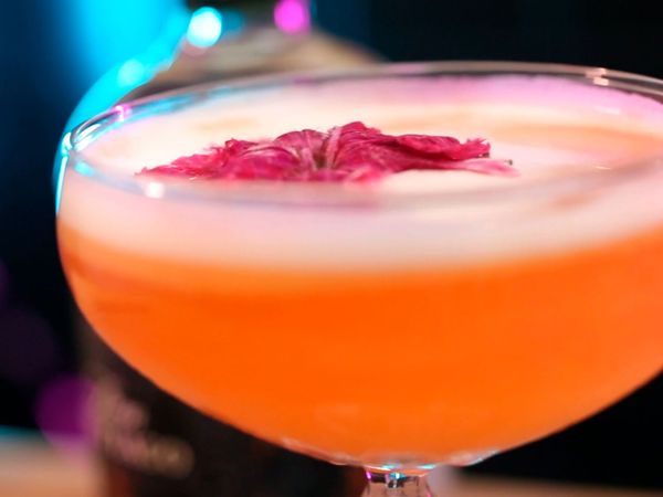 Studio Bar - Pisco Inferno, Choloni, Calientito invernal