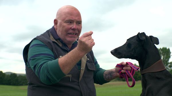 Brassic - Day at the Dogs