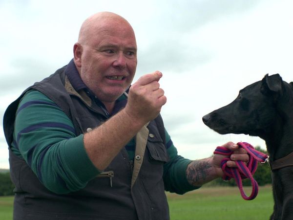 Brassic - Day at the Dogs