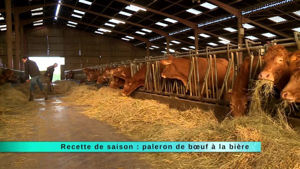A Table Gastronomie - À Table Gastronomie - Épisode 153
