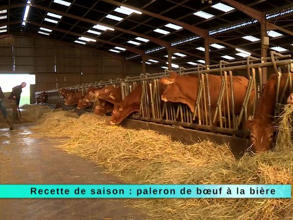 A Table Gastronomie - À Table Gastronomie - Épisode 153