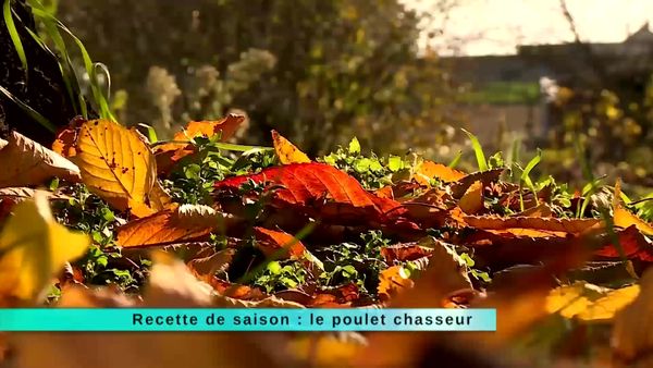 A Table Gastronomie - À Table Gastronomie - Épisode 208