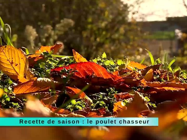A Table Gastronomie - À Table Gastronomie - Épisode 208
