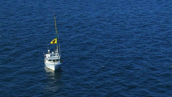Wicked Tuna - Resa dei conti