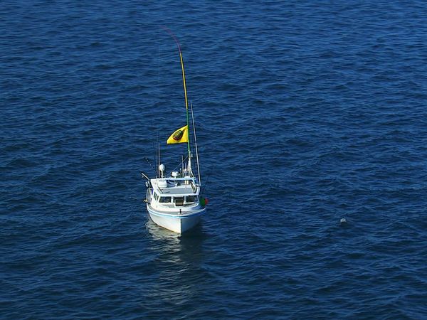 Wicked Tuna - Resa dei conti