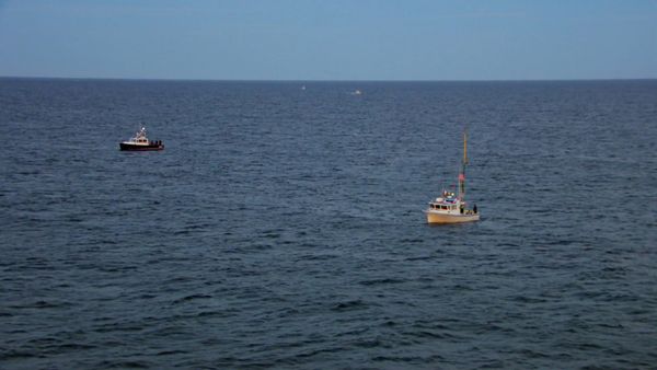 Wicked Tuna - Fuori di sé