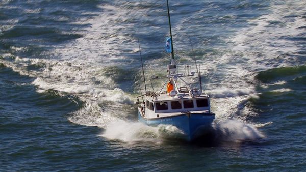Wicked Tuna - Per un pelo (Finale Parte 2)