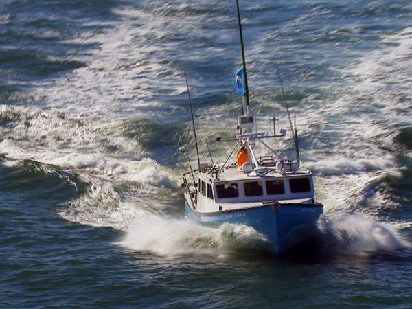 Wicked Tuna - Per un pelo (Finale Parte 2)