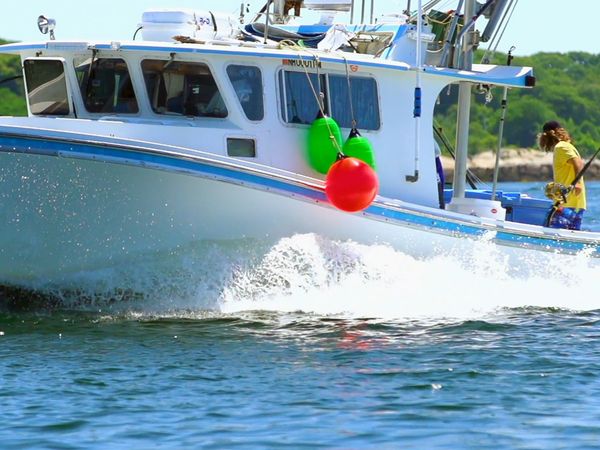 Wicked Tuna - Battaglia a metà percorso
