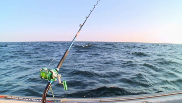 Wicked Tuna - Quando il gioco si fa duro