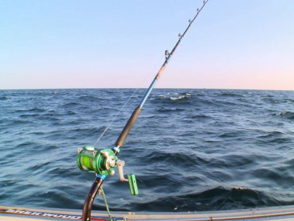 Wicked Tuna - Quando il gioco si fa duro