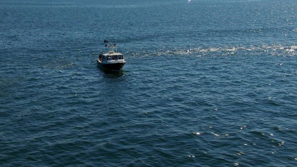 Wicked Tuna - Canne piegate e cuori spezzati