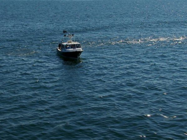 Wicked Tuna - Canne piegate e cuori spezzati