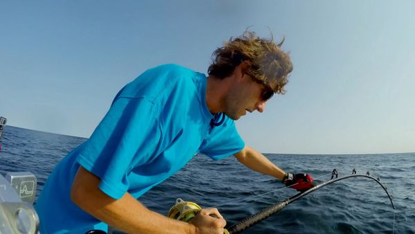 Wicked Tuna - O la va o la spacca