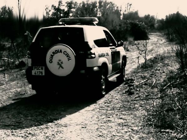 Extraterrestrials: They Are Among Us - The Police's UFOs