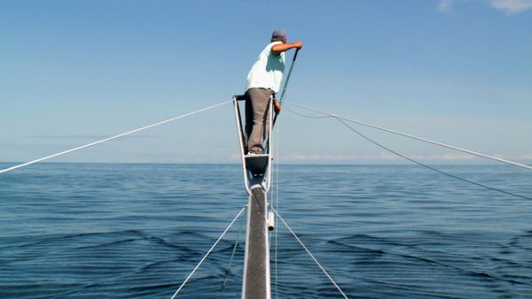 Wicked Tuna - Guerra a colpi di arpione