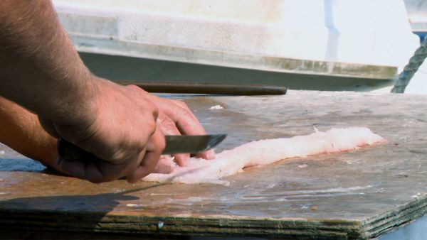 Wicked Tuna - Ira dell'ancora, L'