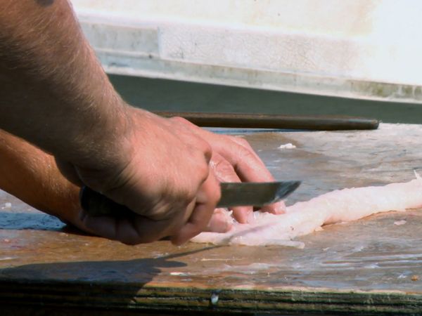 Wicked Tuna - Ira dell'ancora, L'
