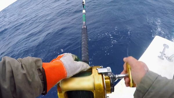 Wicked Tuna - Scontro dei tonni, Lo