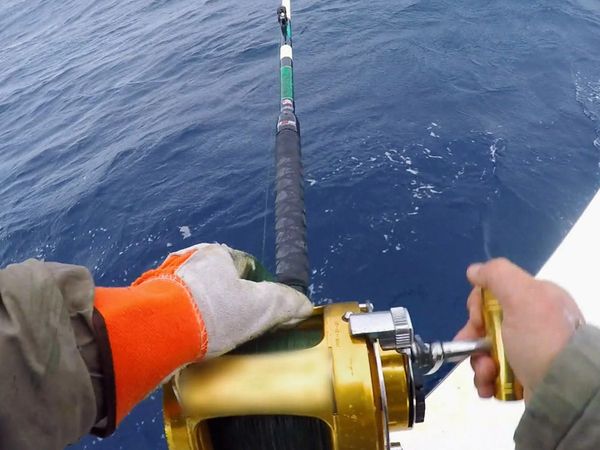 Wicked Tuna - Scontro dei tonni, Lo