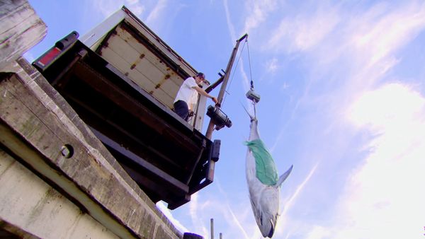 Wicked Tuna - Tripletta di tonni