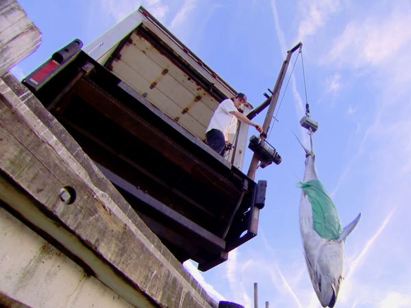 Wicked Tuna - Tripletta di tonni