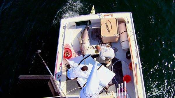 Wicked Tuna - Guerra a colpi di arpione