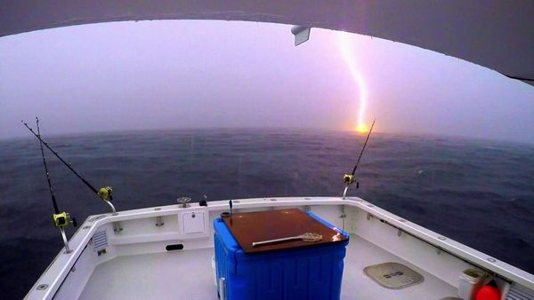 Wicked Tuna - Primo sangue