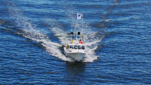 Wicked Tuna - Ira dell'ancora, L'