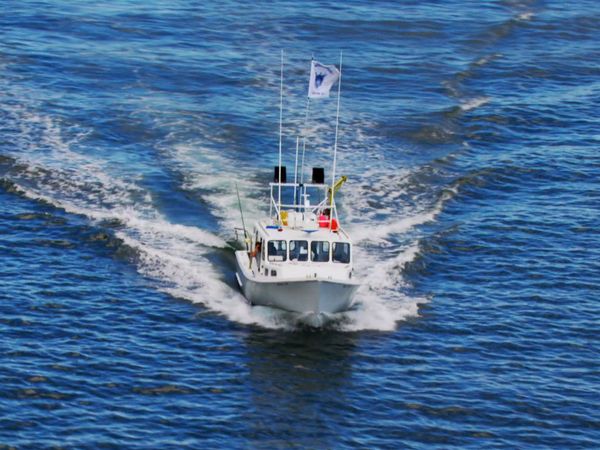 Wicked Tuna - Ira dell'ancora, L'