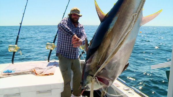 Wicked Tuna - Quando il gioco si fa duro