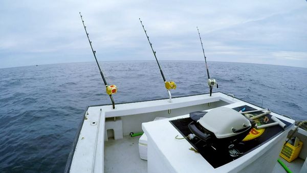 Wicked Tuna - Capitan Soldi