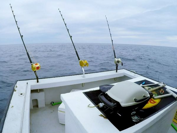 Wicked Tuna - Capitan Soldi