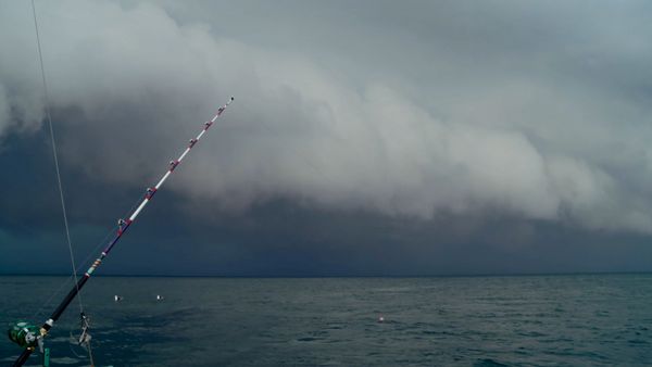 Wicked Tuna - Tempesta in arrivo